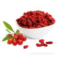 Ningxia Goji berry with best antioxidant function